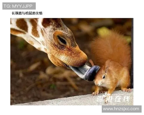 足球明星烧烤恶搞大作战笑料不断让你捧腹大笑的趣味视频 足球明星烧烤恶搞大作战笑料不断让你捧腹大笑的趣味视频